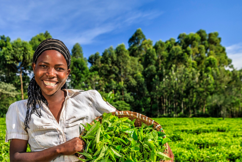 AGRICULTURE